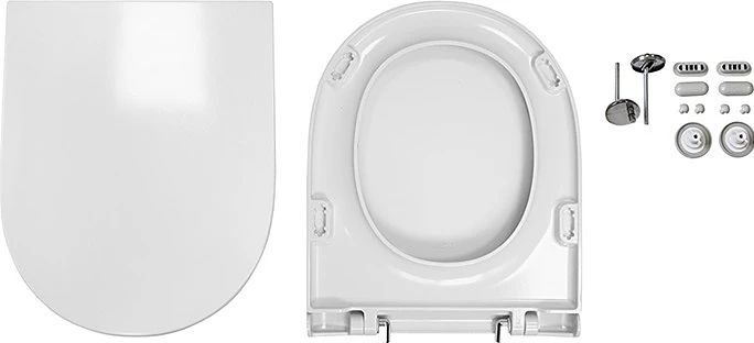 Напольный унитаз Sanita Luxe Fest с бачком и микролифтом FSTSLCC01040622