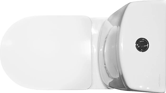 Напольный унитаз Sanita Luxe Fest с бачком и микролифтом FSTSLCC01040622