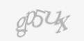 Защитный код